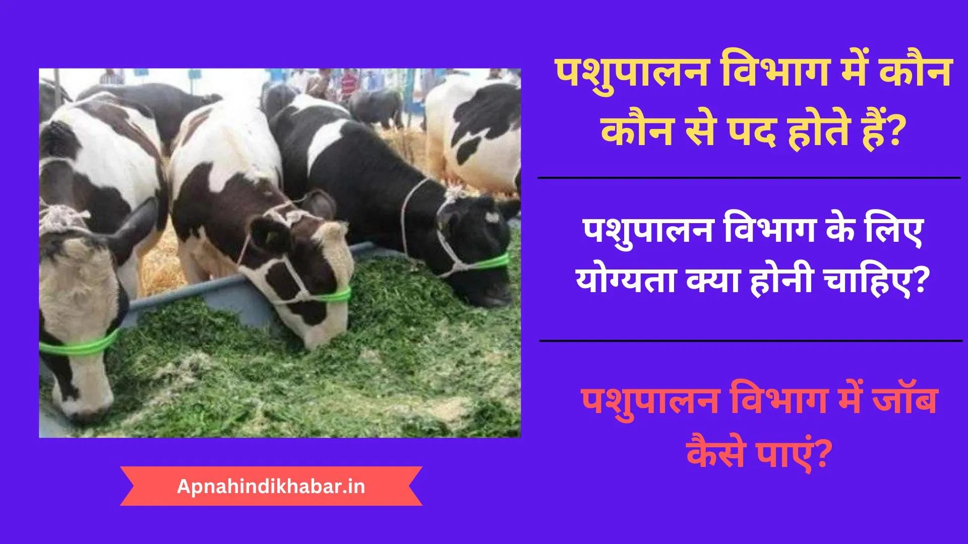 Pashupalan Vibhag Me Kaun Kaun Si Post Hoti Hai